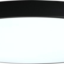 Потолочный светильник Zortes Tortty ZRS.02563.72