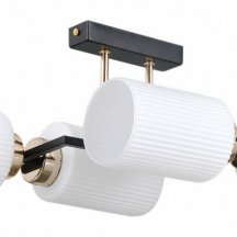 Потолочный светильник ILLUMICO IL0809-4ASQ-25 BK AB NAPLES