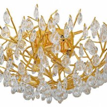 Потолочная люстра Favourite Pluvia 4162-10C