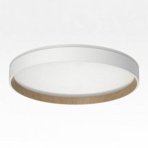 Накладной светильник Citilux ETALON CL750320R