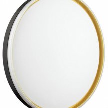 Настенно-потолочный светильник Savi 7619/ELN