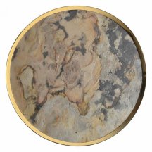 Настенно-потолочный светильник Odeon Light Bergi 5079/40L