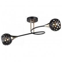 Потолочная люстра Imex MD.19074-2-S-BK+FGD
