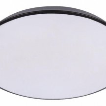 Потолочный светильник Loft IT Brim 10226 Black