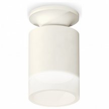 Накладной точечный светильник Ambrella light XS XS6301104