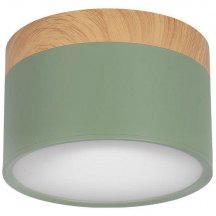Накладной светодиодный светильник Loft IT Grape 10162 Green