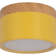 Накладной светодиодный светильник Loft IT Grape 10162 Yellow