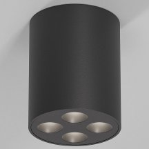 Потолочный светильник Elektrostandard 25111/LED a067485