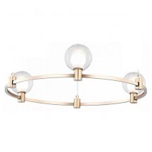 Потолочная светодиодная люстра Freya Urban FR4005PL-03G1