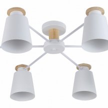 Люстра для натяжного потолка Rivoli Adna 9112-306