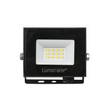 Прожектор уличный Luminarte LFL-10W/06