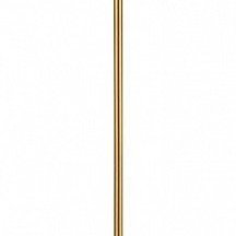 Торшер Odeon Light Bergi 5064/2F