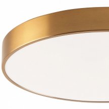 Потолочный светильник Tortty ZRS.02566.96