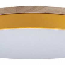 Потолочный светильник Loft IT Axel 10001/36 Yellow