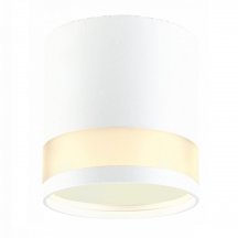 Потолочный светильник EKS ART Glass Gx53 ЦБ-00010276