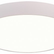 Потолочный светодиодный светильник ST Luce ST606.542.48