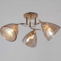 Потолочная люстра Reluce 02560-0.3-03 FG