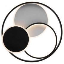 Потолочный светильник Freya Cosmic Market FR10015CL-L94WB