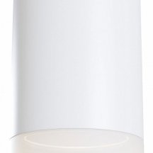 Потолочный светильник Maytoni Pauline C008CW-01W