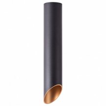 Потолочный светильник Arte Lamp Pilon-Gold A1536PL-1BK