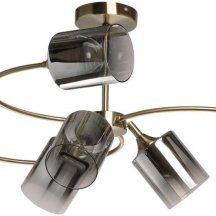 Потолочная люстра Вита 220014106