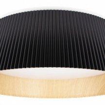 Потолочный светильник Evans 10224 Black
