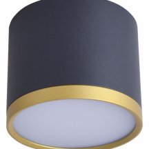 Немецкий потолочный светильник Favourite Baral 3081-2C