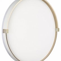 Настенно-потолочный светильник Sonex Olidi White 7646/DLN