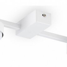 Потолочная люстра Freya Tactic FR5363CL-02W