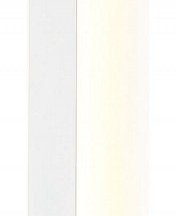 Накладной светильник Ambrella light FW FW4411