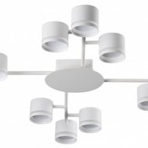 Потолочная люстра Lumion Gareta 8235/12C