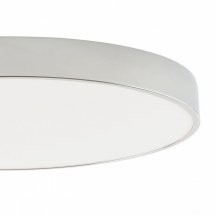 Потолочный светильник Tortty ZRS.02565.96