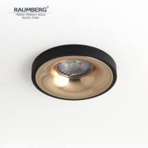 Точечный светильник Raumberg Terra TerraFGd\Bk