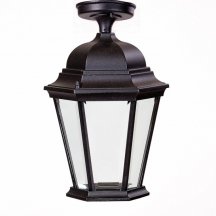 Потолочный светильник уличный Oasis Light ASTORIA 2 91405LA Bl