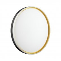 Настенно-потолочный светильник Savi 7619/ELN