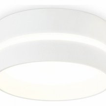 Накладной светильник Ambrella light TN TN5391