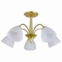 Потолочная люстра Ilex ES0000033