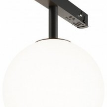 Трековый светильник Maytoni Luna TR038-2-5W4K