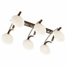 Потолочный светильник Velante 269 269-527-06