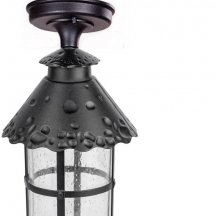 Потолочный светильник уличный Oasis Light CAIOR 1 81505A Bl