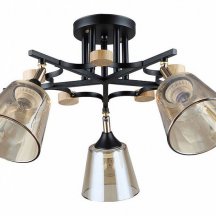 Потолочная люстра Arte Lamp Glassy A5078PL-5BK