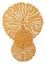 Настенный светильник Maytoni Lovetann MOD082WL-01G