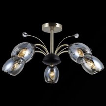 Люстра для гостиной Illumico  IL9737-5CSQ-29 BK AB