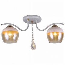 Потолочная люстра Toplight Bertha TL1254D-02BG