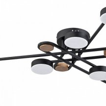 Потолочная люстра Arte Lamp Taygeta A2455PL-6BK