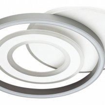 Потолочный светодиодный светильник Lumion Ledio 4504/85CL