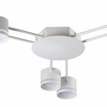 Потолочная люстра Lumion Gareta 8235/6C