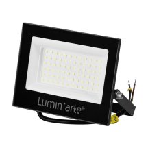 Прожектор уличный Luminarte LFL-70W/06
