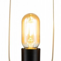 Настольная лампа декоративная Indigo Animo 10007/A/1T Black