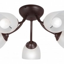 Люстра для натяжного потолка Vitaluce 3404 V3404/5PL